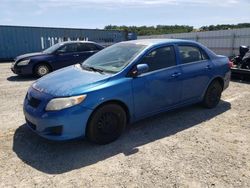 Salvage cars for sale from Copart Anderson, CA: 2009 Toyota Corolla Base