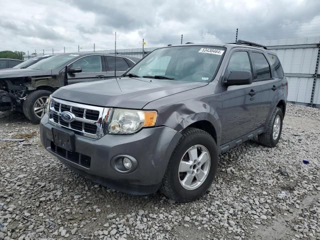 2010 Ford Escape XLT