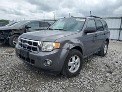 2010 Ford Escape XLT for sale in Cahokia Heights, IL