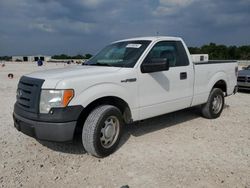 Salvage cars for sale at New Braunfels, TX auction: 2010 Ford F150