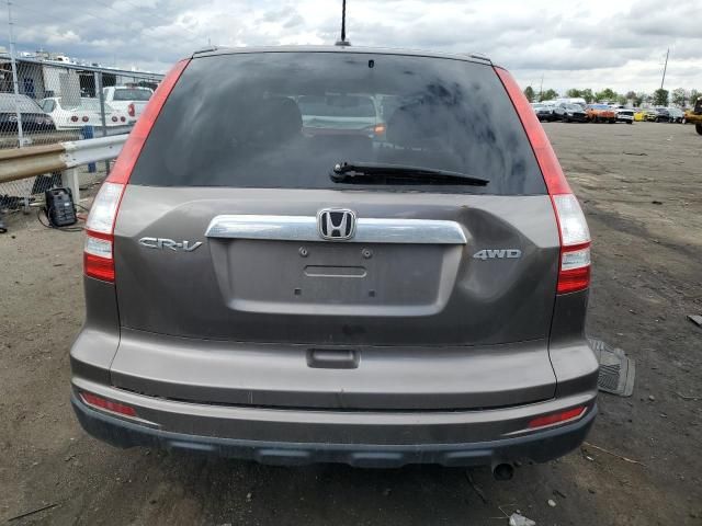 2010 Honda CR-V EXL