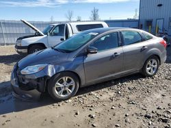 Carros salvage para piezas a la venta en subasta: 2013 Ford Focus SE