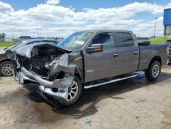 Salvage cars for sale at Woodhaven, MI auction: 2014 Ford F150 Supercrew