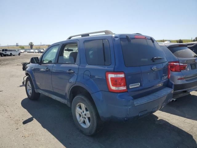 2008 Ford Escape HEV