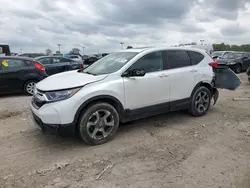 Salvage cars for sale at Indianapolis, IN auction: 2019 Honda CR-V EXL