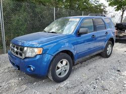 Salvage cars for sale at Cicero, IN auction: 2012 Ford Escape XLT