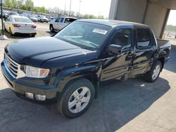 Salvage cars for sale at Fort Wayne, IN auction: 2012 Honda Ridgeline RTL