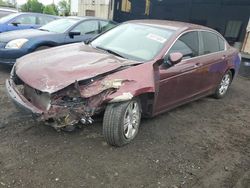Salvage cars for sale at New Britain, CT auction: 2010 Honda Accord LXP