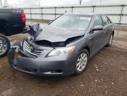 Salvage cars for sale at Elgin, IL auction: 2009 Toyota Camry Hybrid