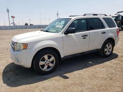 Salvage cars for sale at Greenwood, NE auction: 2010 Ford Escape XLT