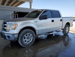 Salvage trucks for sale at West Palm Beach, FL auction: 2014 Ford F150 Supercrew
