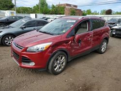 Salvage cars for sale at New Britain, CT auction: 2014 Ford Escape Titanium