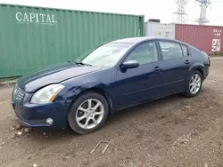 Salvage cars for sale at Elgin, IL auction: 2005 Nissan Maxima SE