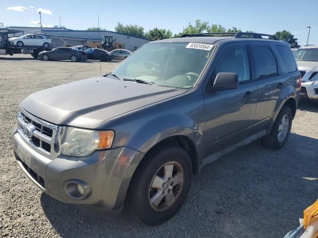 2010 Ford Escape XLT