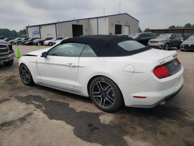 2019 Ford Mustang