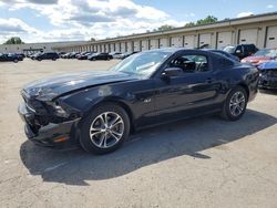 Salvage cars for sale at Louisville, KY auction: 2014 Ford Mustang