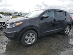 Salvage cars for sale at Eugene, OR auction: 2013 KIA Sportage LX