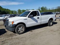 Salvage trucks for sale at Marlboro, NY auction: 2010 Ford F150