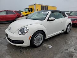 Carros dañados por granizo a la venta en subasta: 2013 Volkswagen Beetle