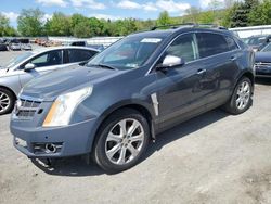 Salvage cars for sale at Grantville, PA auction: 2010 Cadillac SRX Premium Collection