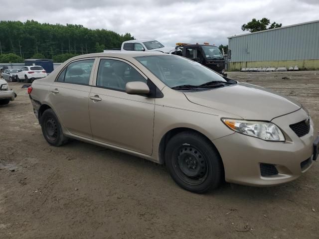 2010 Toyota Corolla Base