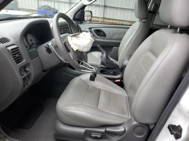 2005 Ford Escape XLT