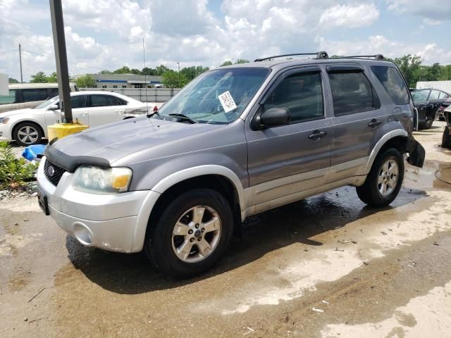 2007 Ford Escape XLT