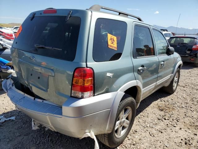 2007 Ford Escape HEV