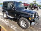 2004 Jeep Wrangler / TJ Sahara