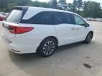 2024 Honda Odyssey EXL