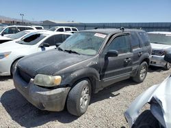 Salvage cars for sale at Las Vegas, NV auction: 2007 Ford Escape XLT