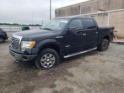 Salvage cars for sale at Fredericksburg, VA auction: 2012 Ford F150 Supercrew