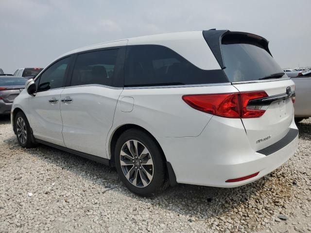 2023 Honda Odyssey EXL