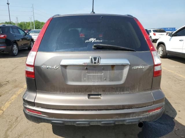 2010 Honda CR-V EXL