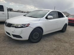 Salvage cars for sale at North Las Vegas, NV auction: 2013 KIA Forte EX