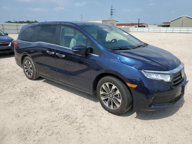 2024 Honda Odyssey EXL