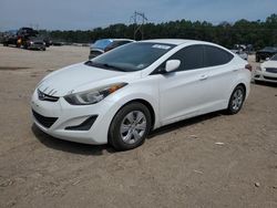 Salvage cars for sale at Greenwell Springs, LA auction: 2016 Hyundai Elantra SE