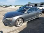 2014 Audi S5 Premium Plus