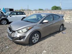 Salvage cars for sale at Homestead, FL auction: 2016 Hyundai Elantra SE