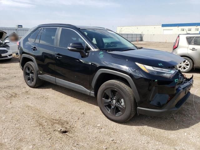 2023 Toyota Rav4 XLE