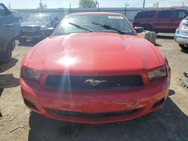 2010 Ford Mustang