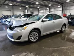 Salvage cars for sale at Ham Lake, MN auction: 2013 Toyota Camry L
