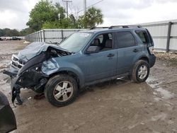 Salvage cars for sale from Copart Riverview, FL: 2011 Ford Escape XLT