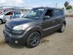 2010 KIA Soul +