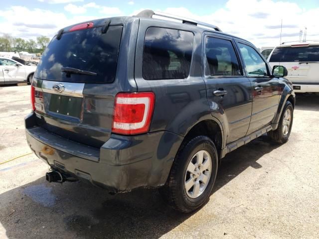 2009 Ford Escape Limited