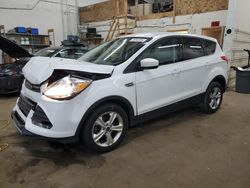 Salvage cars for sale at Ham Lake, MN auction: 2016 Ford Escape SE