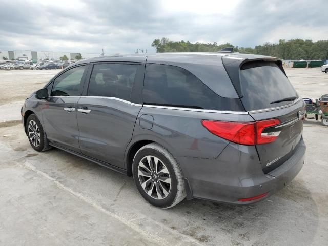 2024 Honda Odyssey EXL