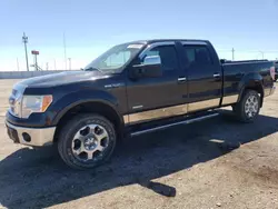 Salvage cars for sale from Copart Greenwood, NE: 2011 Ford F150 Supercrew