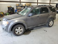 Salvage cars for sale at Byron, GA auction: 2011 Ford Escape XLT