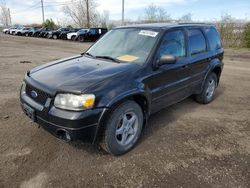 Salvage cars for sale at Montreal Est, QC auction: 2005 Ford Escape Limited